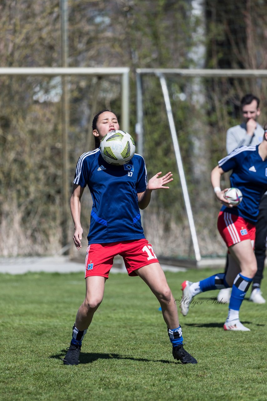 Bild 127 - wBJ Hamburger SV - WfL Wolfsburg : Ergebnis: 2:1